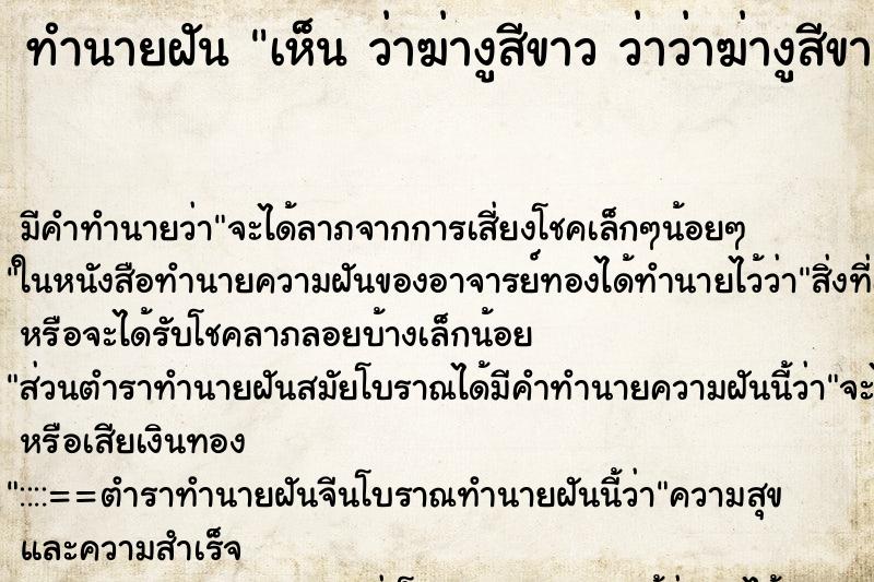 ทำนายฝัน เห็น ว่าฆ่างูสีขาว ว่าว่าฆ่างูสีขาว ทำนายฝัน เห็น ว่าฆ่างูสีขาว ว่าว่าฆ่างูสีขาว